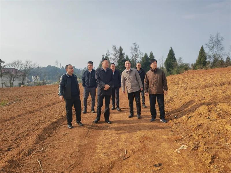 e4e7d7ec-dd32-43d5-b02a-6f3851555b06_看图王.jpg