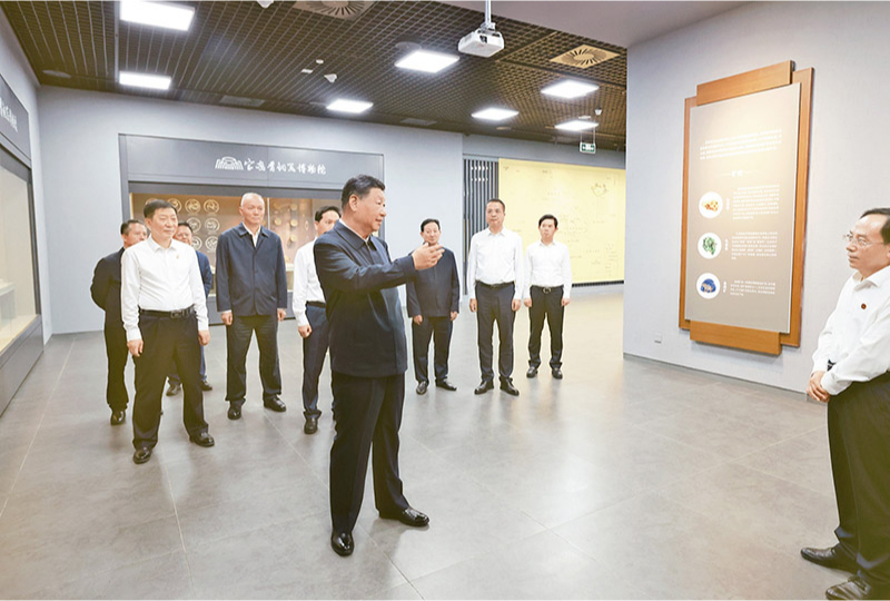 至成国际官网-追求健康,你我一路成长